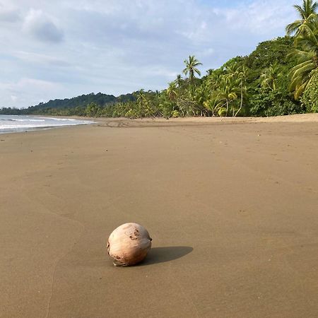 Corcovado & Drake Inn Drake Bay Luaran gambar