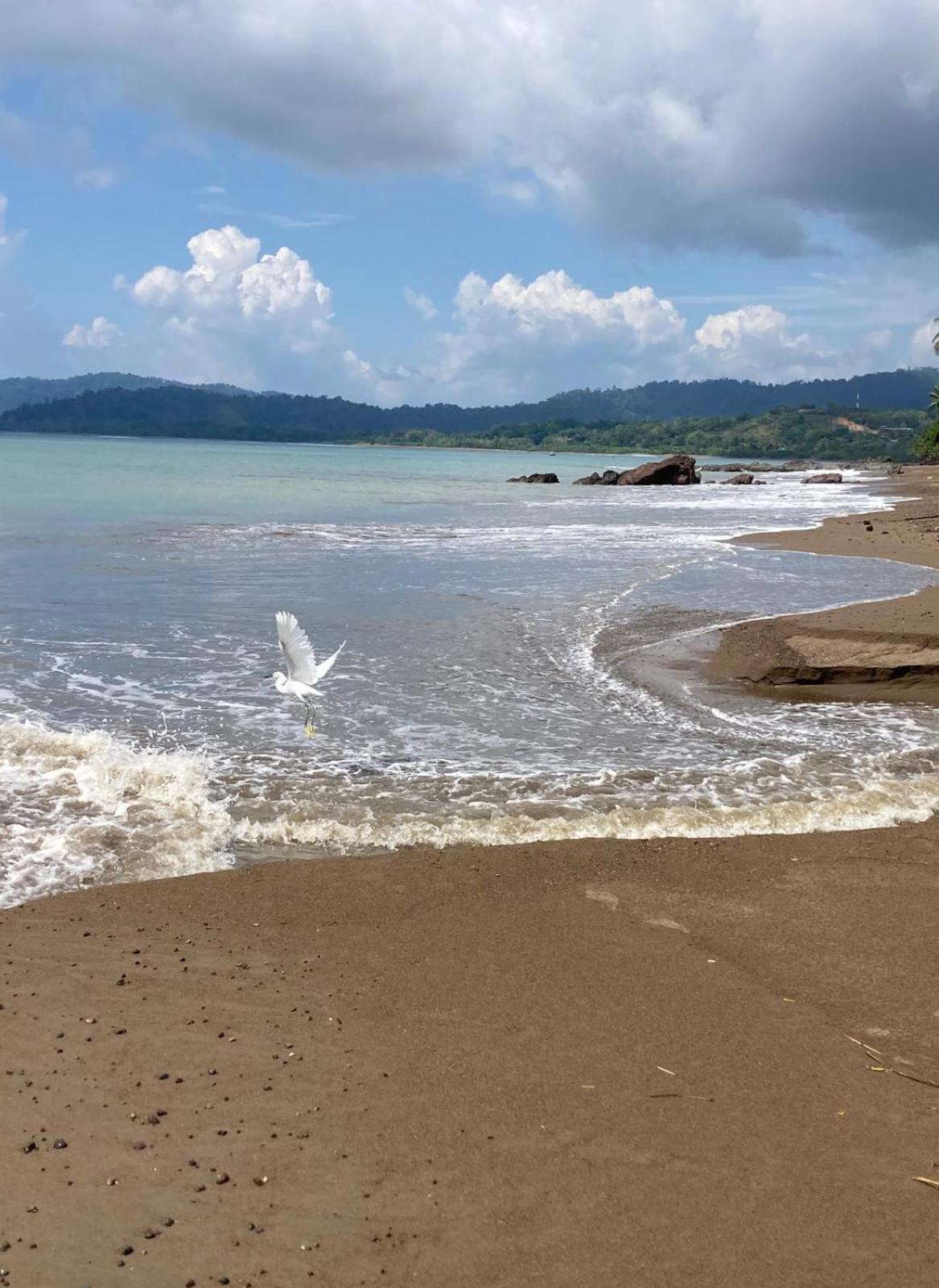 Corcovado & Drake Inn Drake Bay Luaran gambar