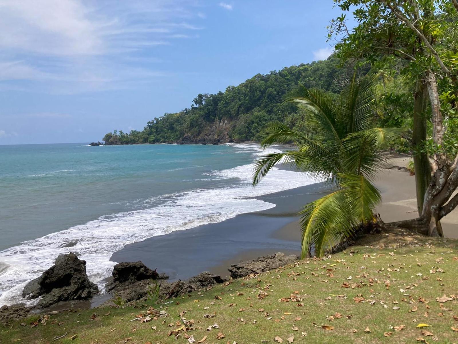 Corcovado & Drake Inn Drake Bay Luaran gambar